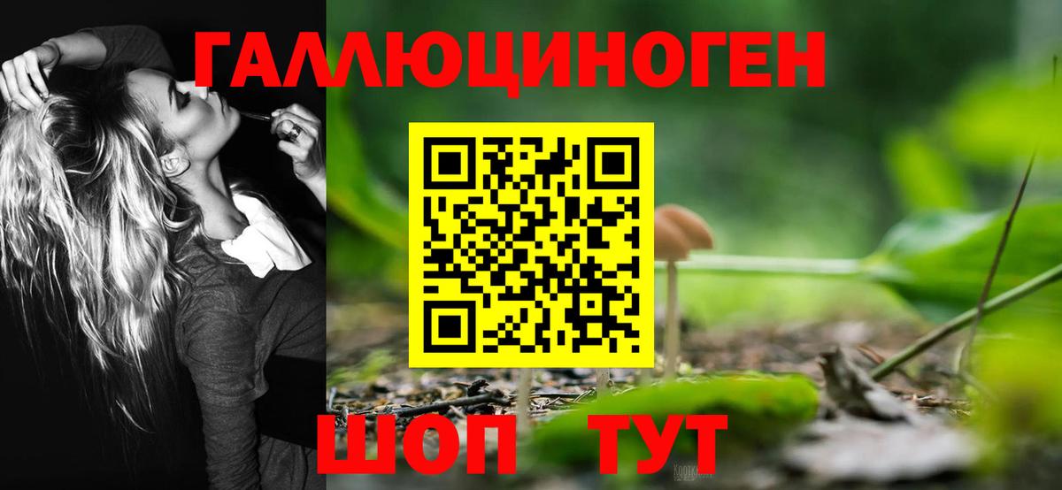 Богородицк  Псилоцибиновые грибы MAGIC MUSHROOMS  Вход с VPN 